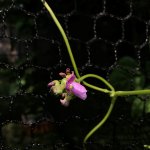 IMG_1689.jpg