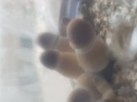 20180809_080733.jpg