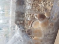 20180809_080654.jpg