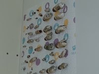 20180809_110731.jpg