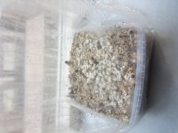 20180814_085048.jpg