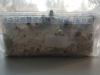 20180814_085058.jpg