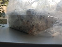 20180814_085131.jpg