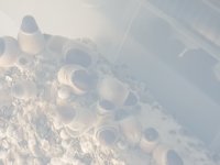 20180815_081502.jpg
