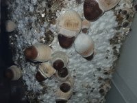 20180815_095554.jpg