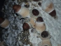 20180815_095459.jpg