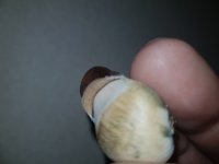20180815_221214.jpg