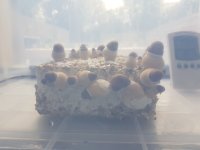 20180816_111230.jpg