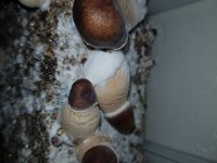 20180816_144539.jpg