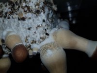 20180817_075017.jpg