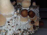 20180817_075114.jpg
