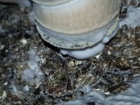 20180817_075334.jpg