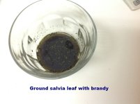 02+Ground+salvia+leaf+with+brandy.jpg