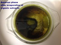 04+Aqueous+phase+after+evaporation+of+organic+solvents.jpg