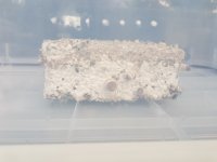 20180822_195828.jpg