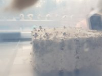20180822_195916.jpg