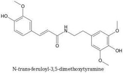 N-trans-feruloyl-3%2C5-dimethoxytyramine.jpg