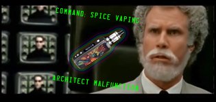 trip1.jpg