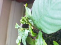 20180827_165902.jpg