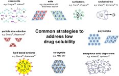 Common+strategies+to+address+low+drug+solubility.jpg