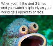 123.jpg