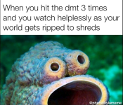 123.png