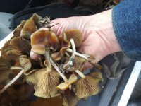 20181103_111443.jpg