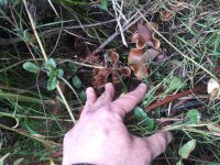 20181103_110744.jpg