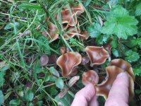 20181103_110711.jpg