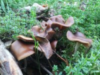 20181103_105534.jpg