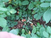 20181103_105619.jpg