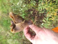 20181107_115811.jpg