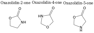 Oxazolidinones.png