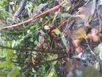 20181124_103424.jpg