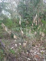20180210_175254.jpg