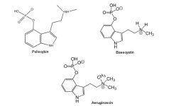 Aeruginascin-image.jpg