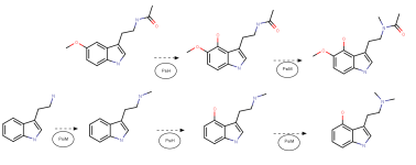 melatransform.png