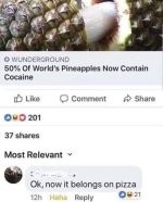 49761377_1914910265273621_7678520249498468352_n.jpg
