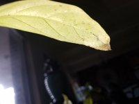20190116_140909.jpg