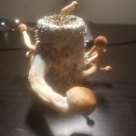 20190218_005719.jpg