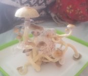 20190222_083529.jpg