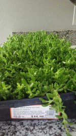 2019-03-02_091318.jpg