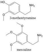 3-methoxytyramine.jpg