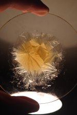 DMT+on+watch+glass.jpg