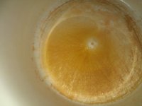 IMG_20181005_082911.jpg