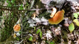 20170908_131429.jpg
