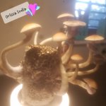20190420_205156.jpg