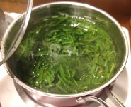 IMG_20190505_114856994.jpg