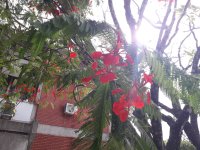 20190529_084616.jpg