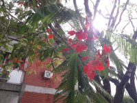 20190529_084615.jpg